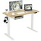 48 Inches Electric Standing Height Adjustable Computer Desk with USB Port and Cable Management tray